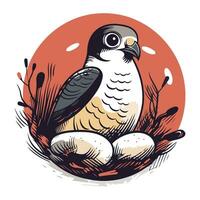 Pigeon sitting on a nest with eggs. Vector illustration.