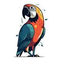 Parrot isolated on white background. Vector illustration in cartoon style.