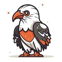 calvo águila. vector ilustración en blanco antecedentes. dibujos animados estilo.