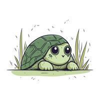 Cute little turtle in the grass. Vector illustration on white background.