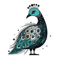 Peacock. Hand drawn vector illustration. Isolated on white background.