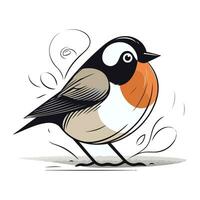 Vector illustration of a robin on a white background. Bird.