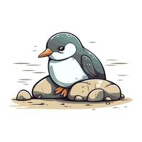 Penguin sitting on rock. Vector illustration of cartoon penguin.