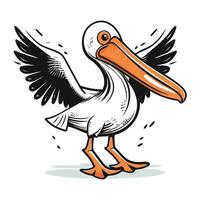 Flying pelican vector illustration isolated on white background. Cartoon pelican.