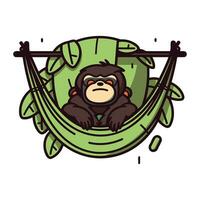 Monkey in hammock. Vector illustration. Isolated on white background.