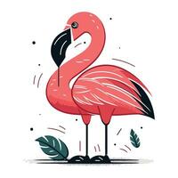 Flamingo. Vector illustration. Isolated on white background.