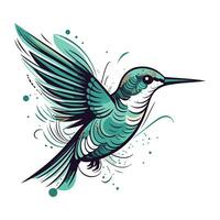 Hummingbird hand drawn vector illustration. Isolated on white background.