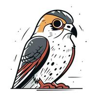Sketch of a falcon on a white background. Vector illustration