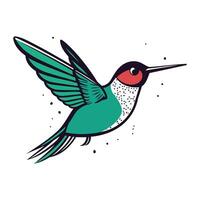 Hummingbird vector illustration in cartoon style. Isolated on white background.