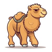 Camel. Vector illustration of a camel on a white background.