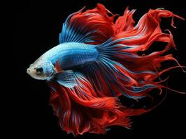 Siamese fighting fish Generative AI photo