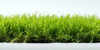 Isolated grass carpet on white with space for text, AI Generative photo