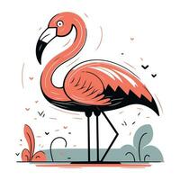 Flamingo. Vector illustration. Isolated on white background.