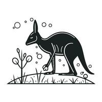 Kangaroo in the garden. Black and white vector illustration.