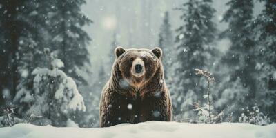 un oso pardo oso caminando nevada ai generativo foto