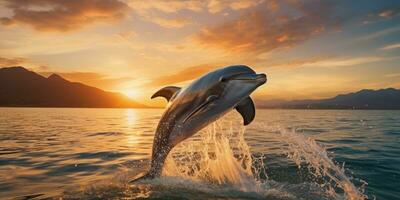 beautiful dolphin leaping jumping from shining sunset sea AI Generative photo