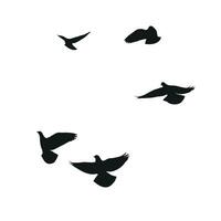 Silhouette sketch of a flock of flying birds, flight in different positions. Hover, soaring, landing, flying, flutter vector