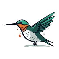 Hummingbird cartoon vector illustration. Isolated on white background.
