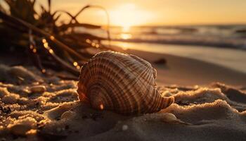 Idyllic seascape tranquil waves, golden sunlight, and colorful seashells decorate shore generated by AI photo