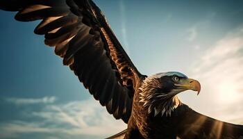 Majestic bald eagle spreads wings in tranquil sunset, symbolizing freedom generated by AI photo