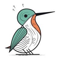 Hummingbird vector illustration. Hand drawn cartoon bird isolated on white background.