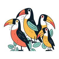 Cute toucans. Vector illustration in cartoon style isolated on white background.