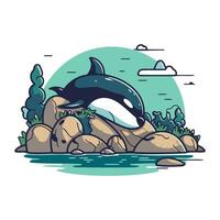 Cartoon killer whale on the rock in the sea. Vector illustration.