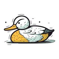 Duck vector icon. Cartoon illustration of duck vector icon for web design