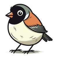 Bullfinch on a white background. Vector illustration of a bird.