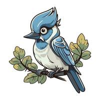 Blue jay bird sitting on branch isolated on white background. Vector illustration.