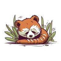 Vector illustration of cute red panda isolated on white background. Cartoon animal character.