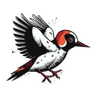 Dendrocopos major. Woodpecker in cartoon style. Vector illustration.