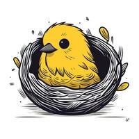 Cute little chick in a nest. Hand drawn vector illustration.