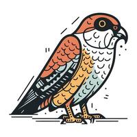 Vector hand drawn sketch of a red necked falcon.