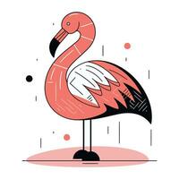 Flamingo vector illustration. Flamingo flat style design.