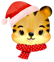 Watercolor with tiger head wearing Santa hat and scarf png