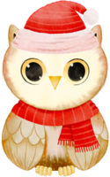 Merry Christmas with watercolor cute owl wearing Santa hat png