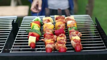 een vrouw handen toevoegen saus en roterend de spiesjes van barbecue wezen gebakken Aan een houtskool grill, barbecue partij in de tuin achtertuin video