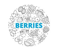 Set of berry icons. Circular composition. Contains such symbols as blueberry, gooseberry, grape, watermelon, raspberry, cherry and more. vector