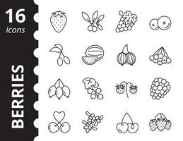 Set of berry icons. Contains such symbols as blueberry, gooseberry, grape, watermelon, raspberry, cherry and more. vector