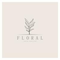 elegante floral y hoja marco. delicado botánico vector ilustración para etiquetas, balnearios, corporativo identidad, y Boda invitaciones