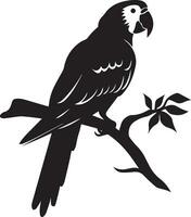 Parrot vector silhouette illustration black color