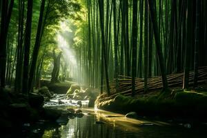 brillante luz de sol filtración mediante bambú bosque ai generativo foto