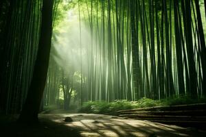 brillante luz de sol filtración mediante bambú bosque ai generativo foto