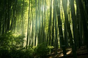 Bright Sunlight Filtering Through Bamboo forest AI Generative photo