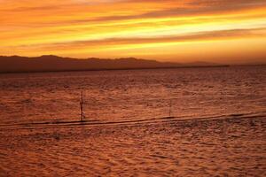 hermosa dorado puesta de sol en el lago foto