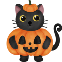 Watercolor Halloween Black Cat with Pumpkin  Character png