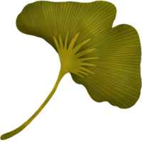 Watercolor Autumn Leaves. Ginkgo Leaf Illustration. png