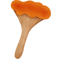 Autumn Mushroom Watercolor png