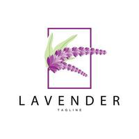 Lavender Logo, Hand Drawn Wedding Plant Design, Vector Lavender Plant Perfume Illustration Design